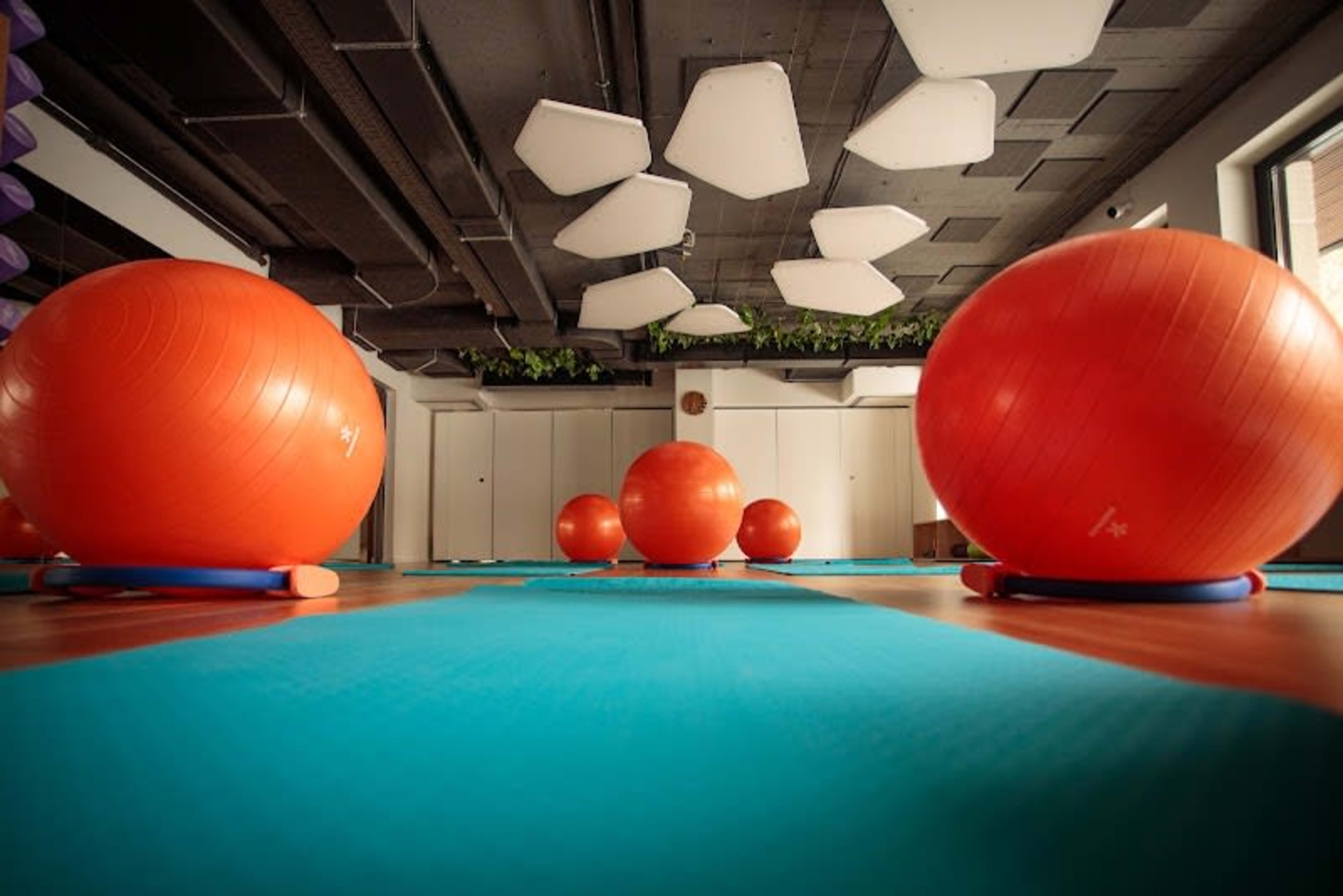 BalanSense Studio 8
