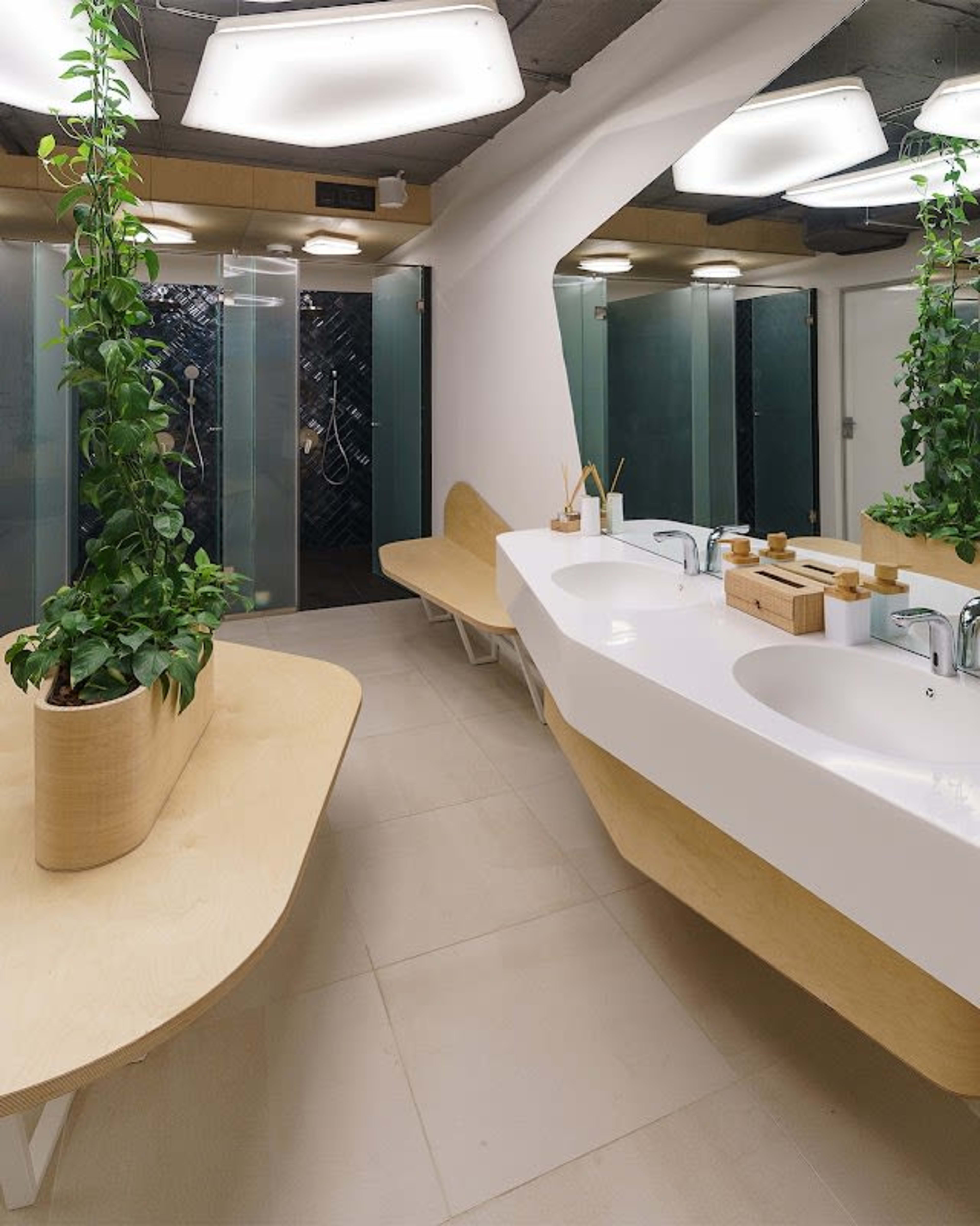 BalanSense Studio 5
