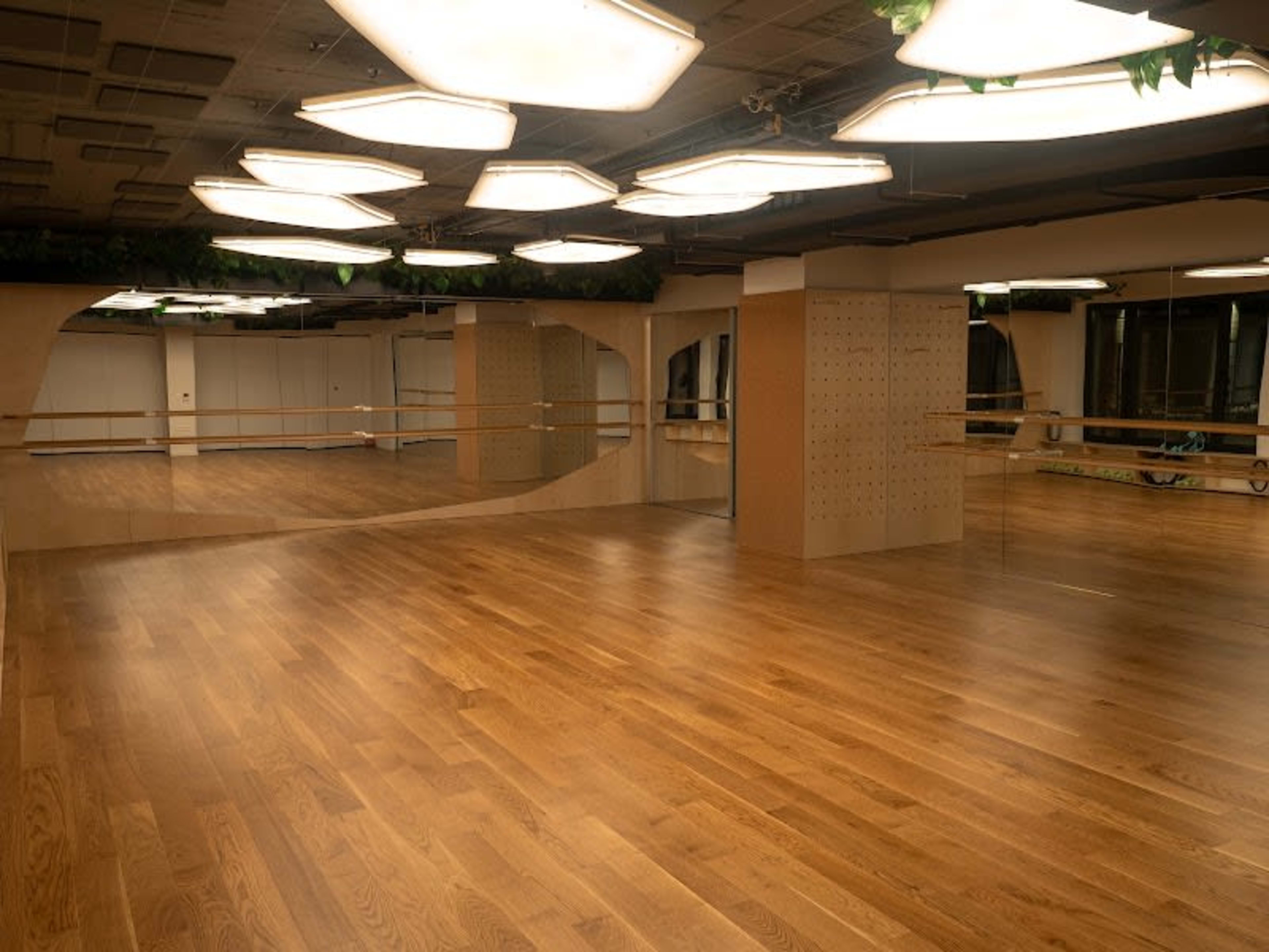 BalanSense Studio 2