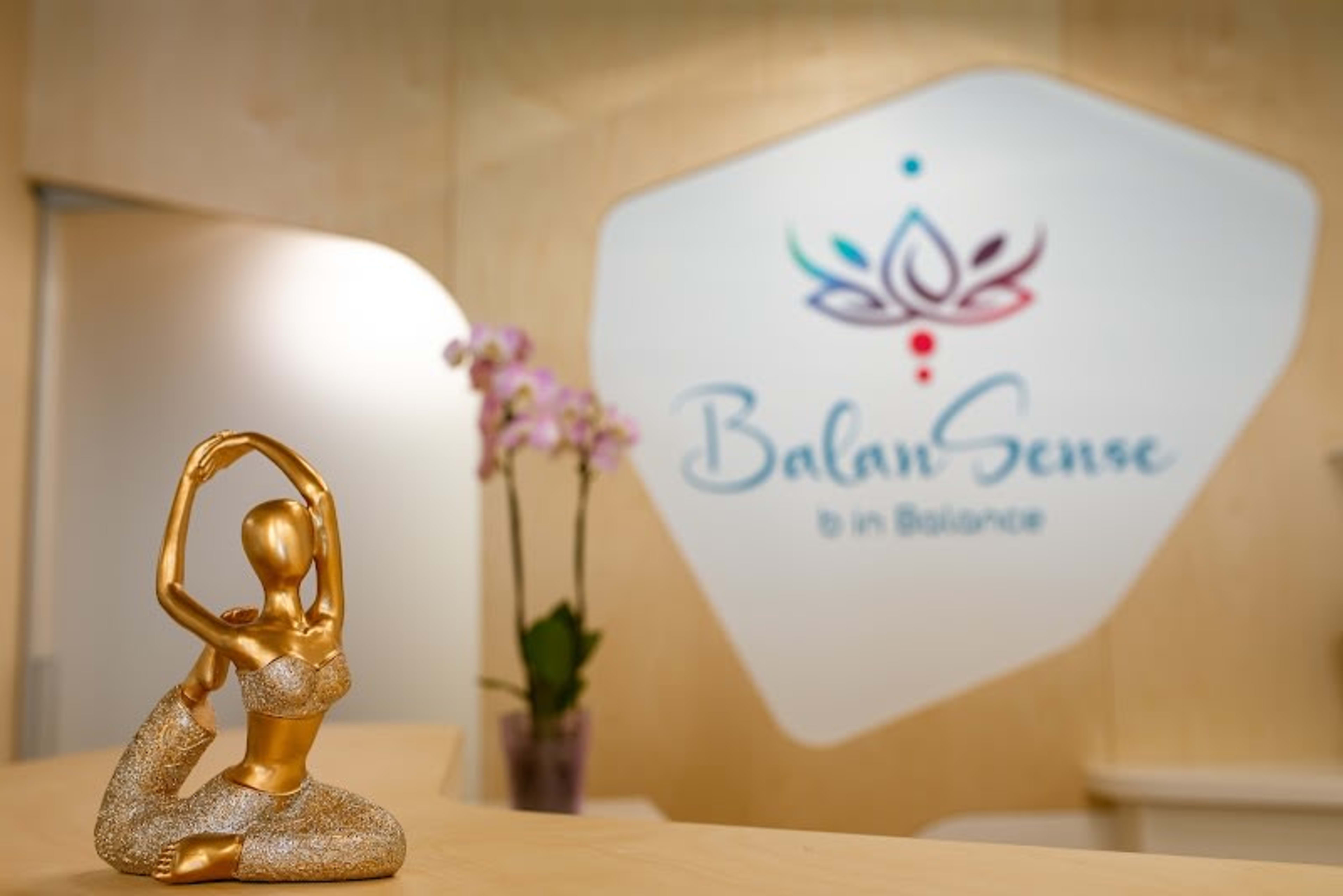 BalanSense Studio 7