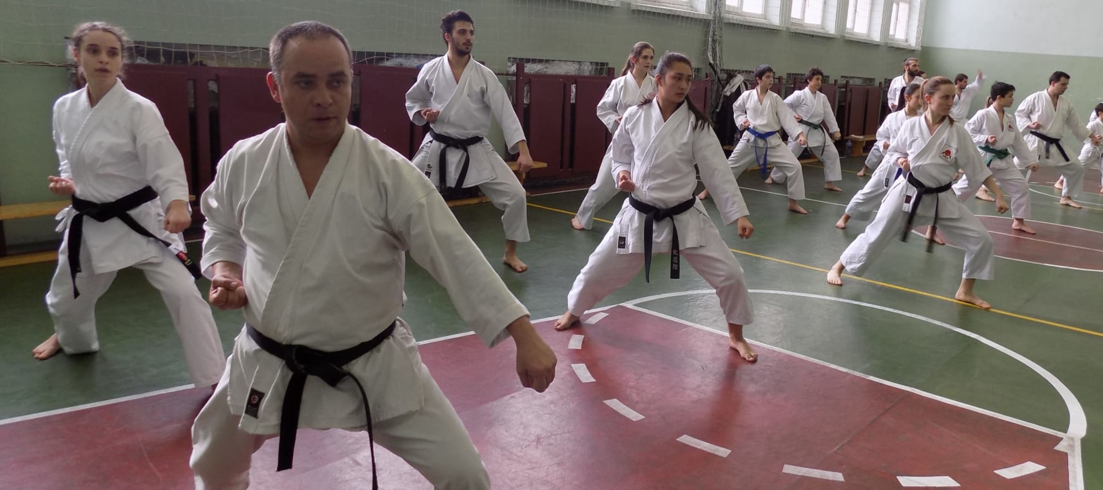 ShiSeiKan Dojo 1