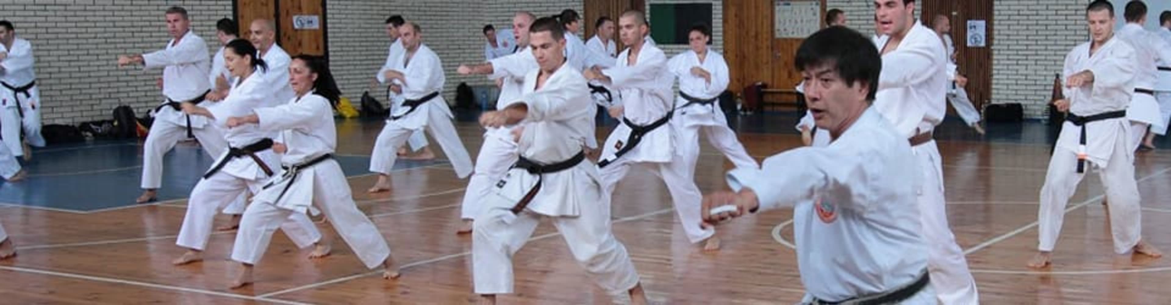 Карате Клуб Кайзен 1