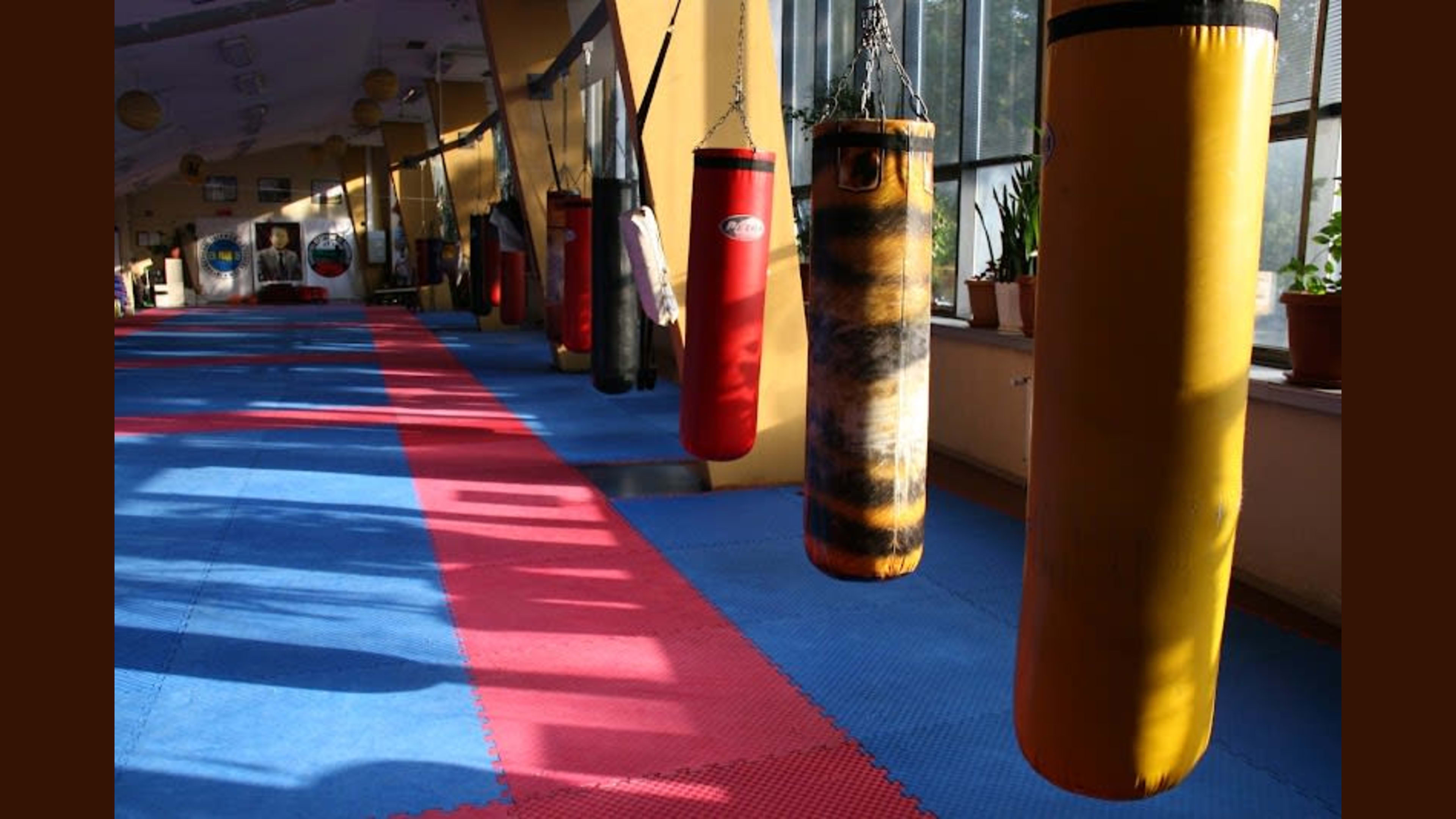 ABC Fight CluB
