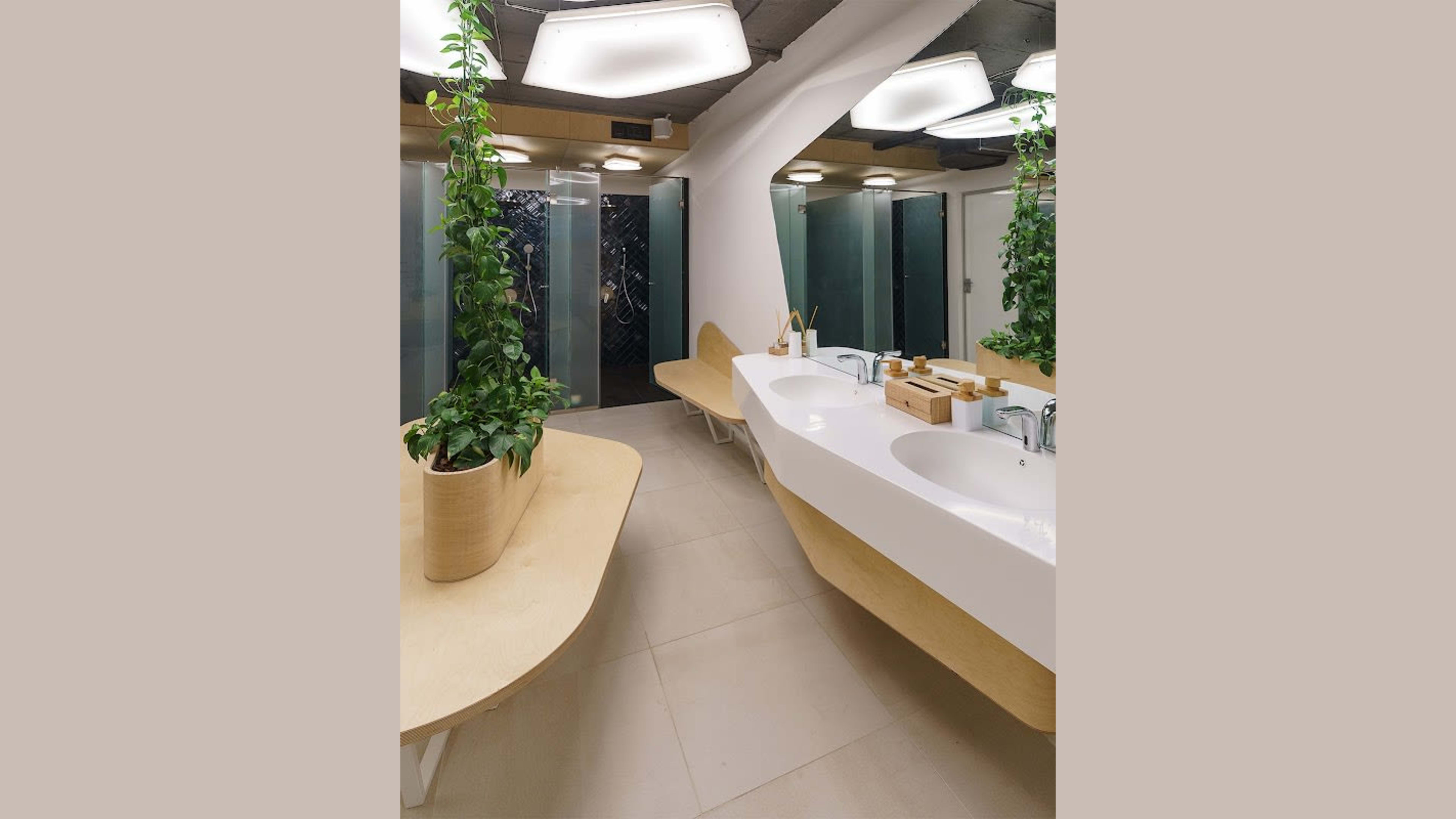 BalanSense Studio