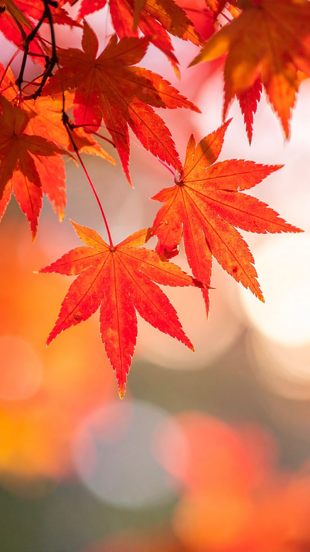 Pastel terraced houses