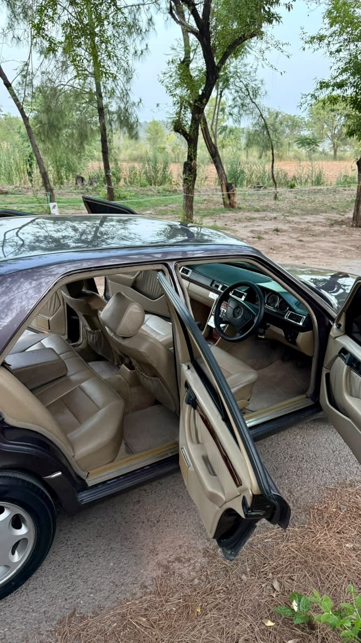 View 18