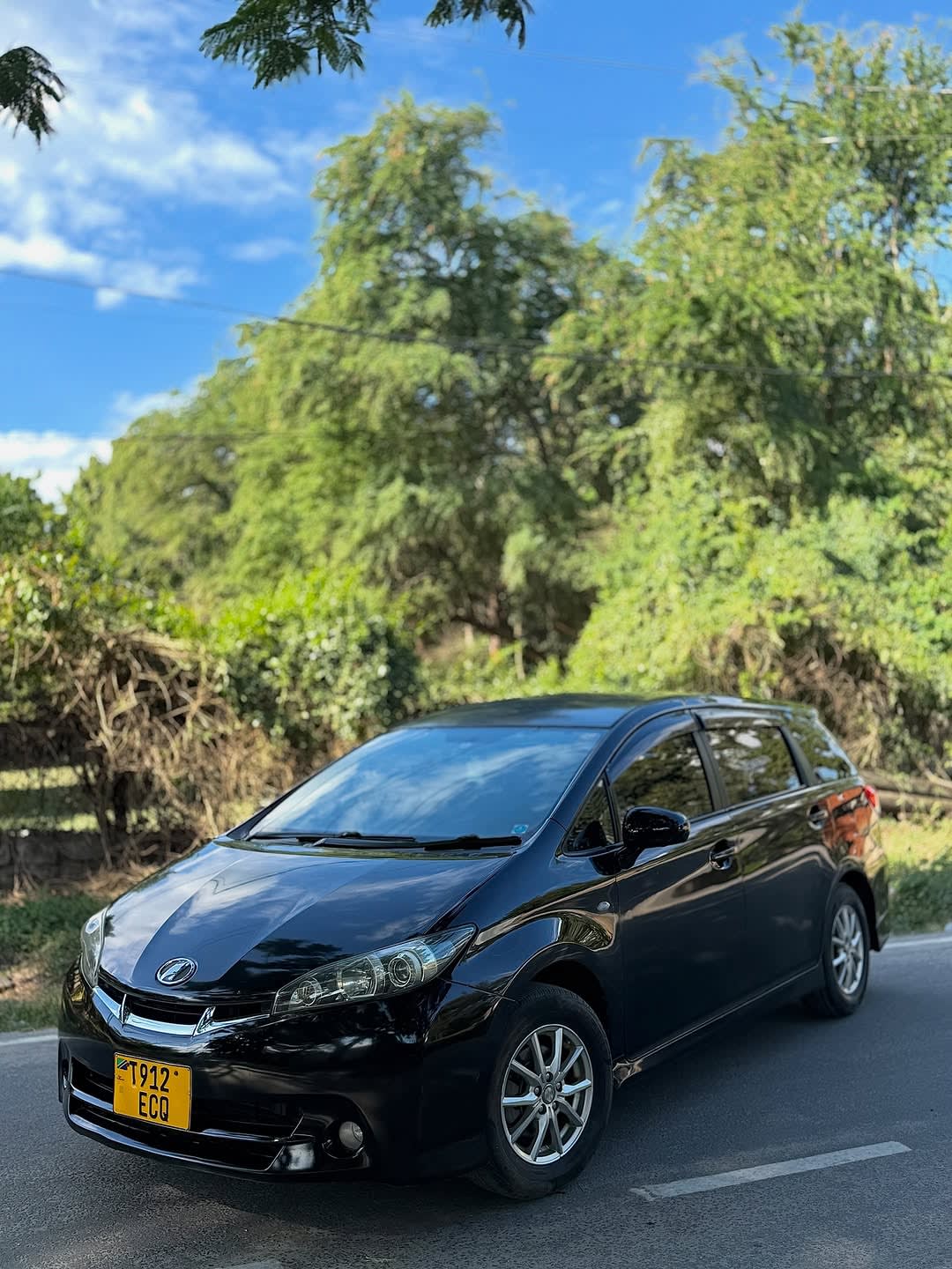 Toyota Wish 2008 view