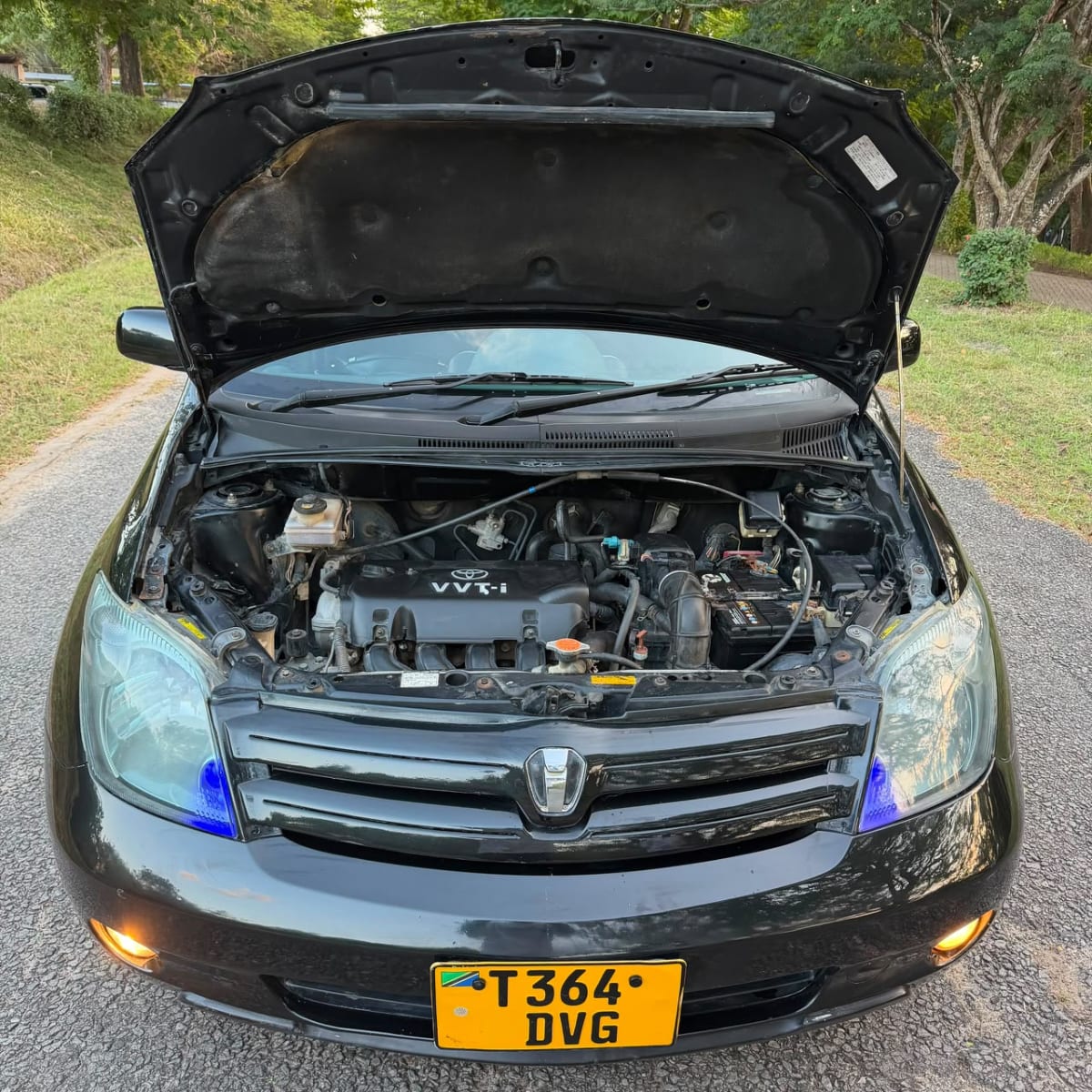 Toyota IST 2004 thumbnail 2
