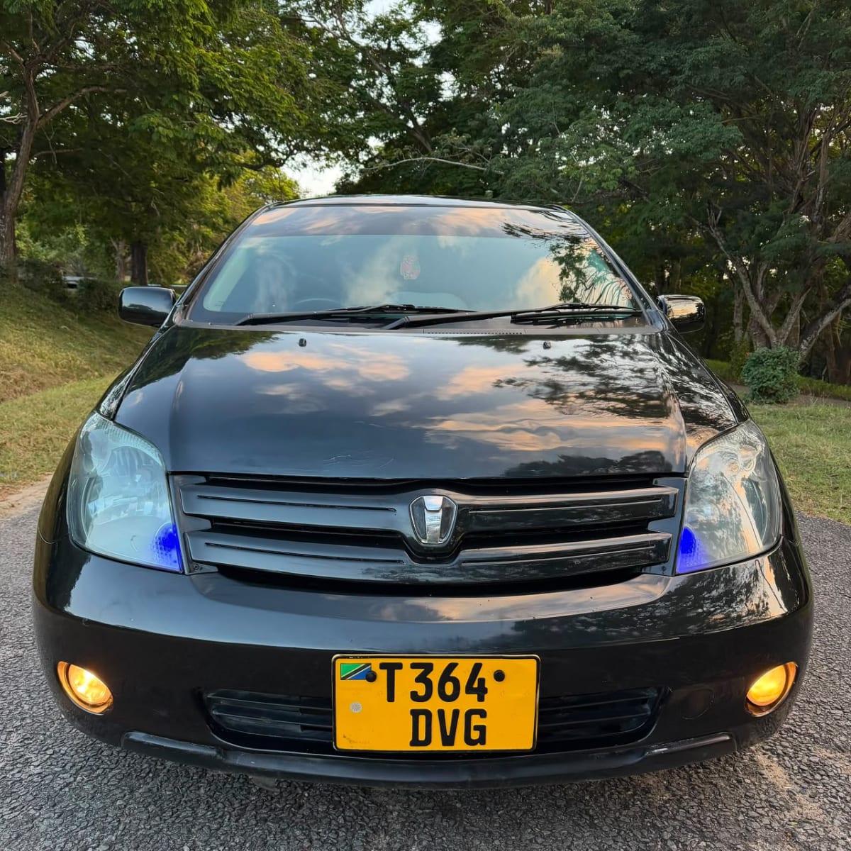 Toyota IST 2004 view