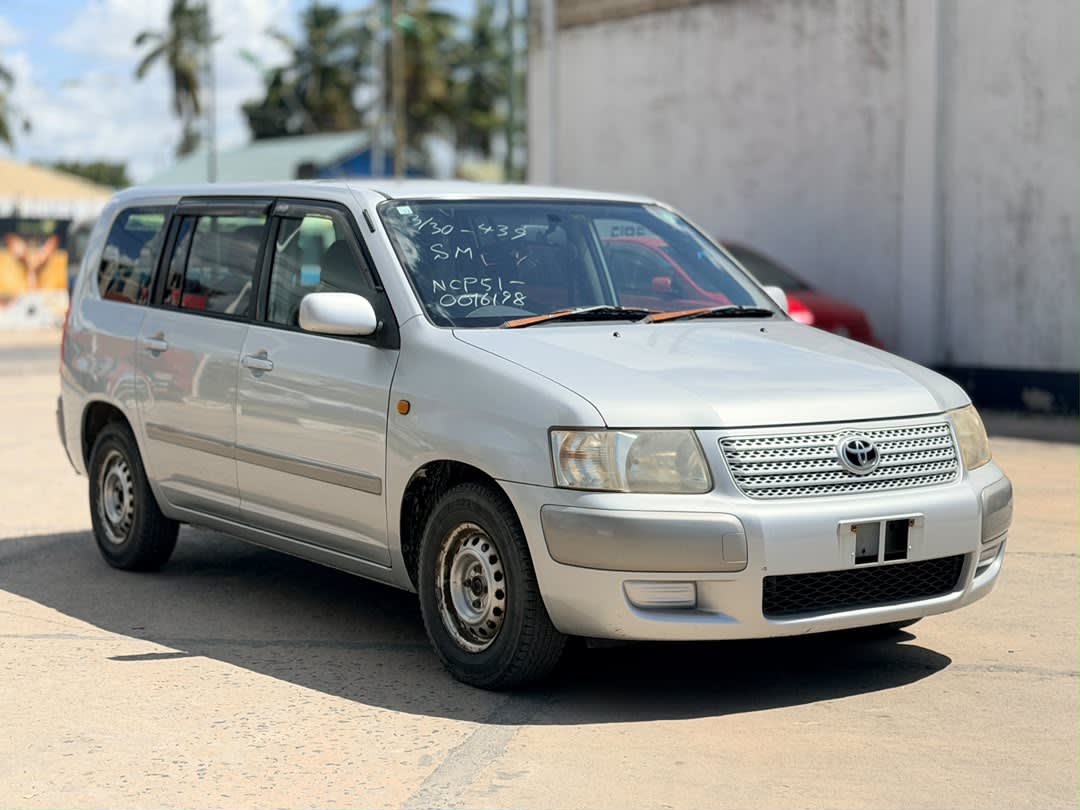 Toyota Probox 2002 view