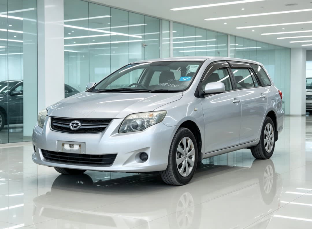 Toyota Fielder 2010 view