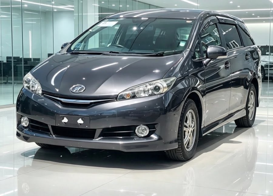 Toyota Wish 2011 view