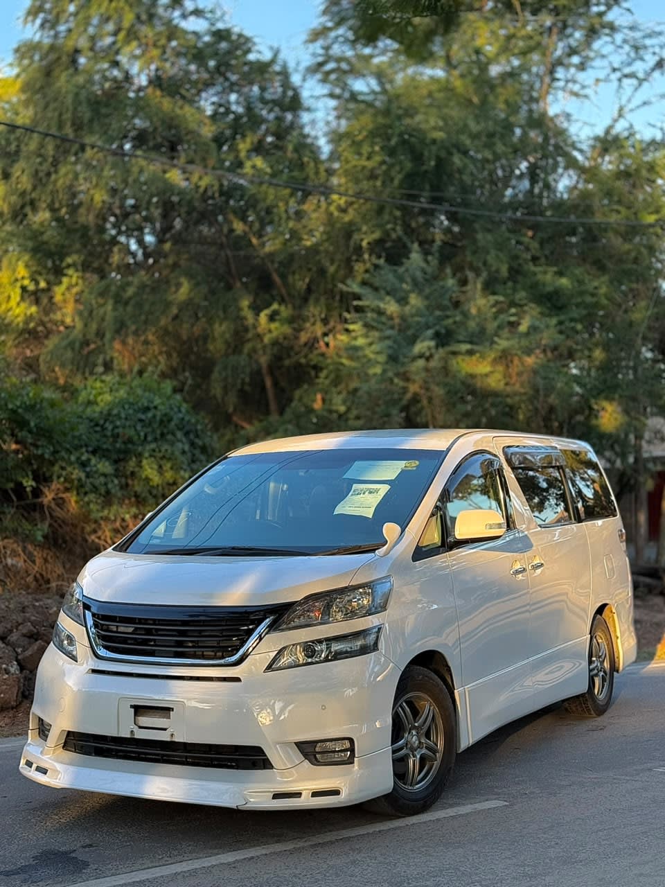 Toyota Verifire 2009 view