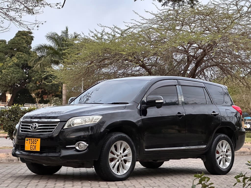 Toyota Vanguard 2010 view
