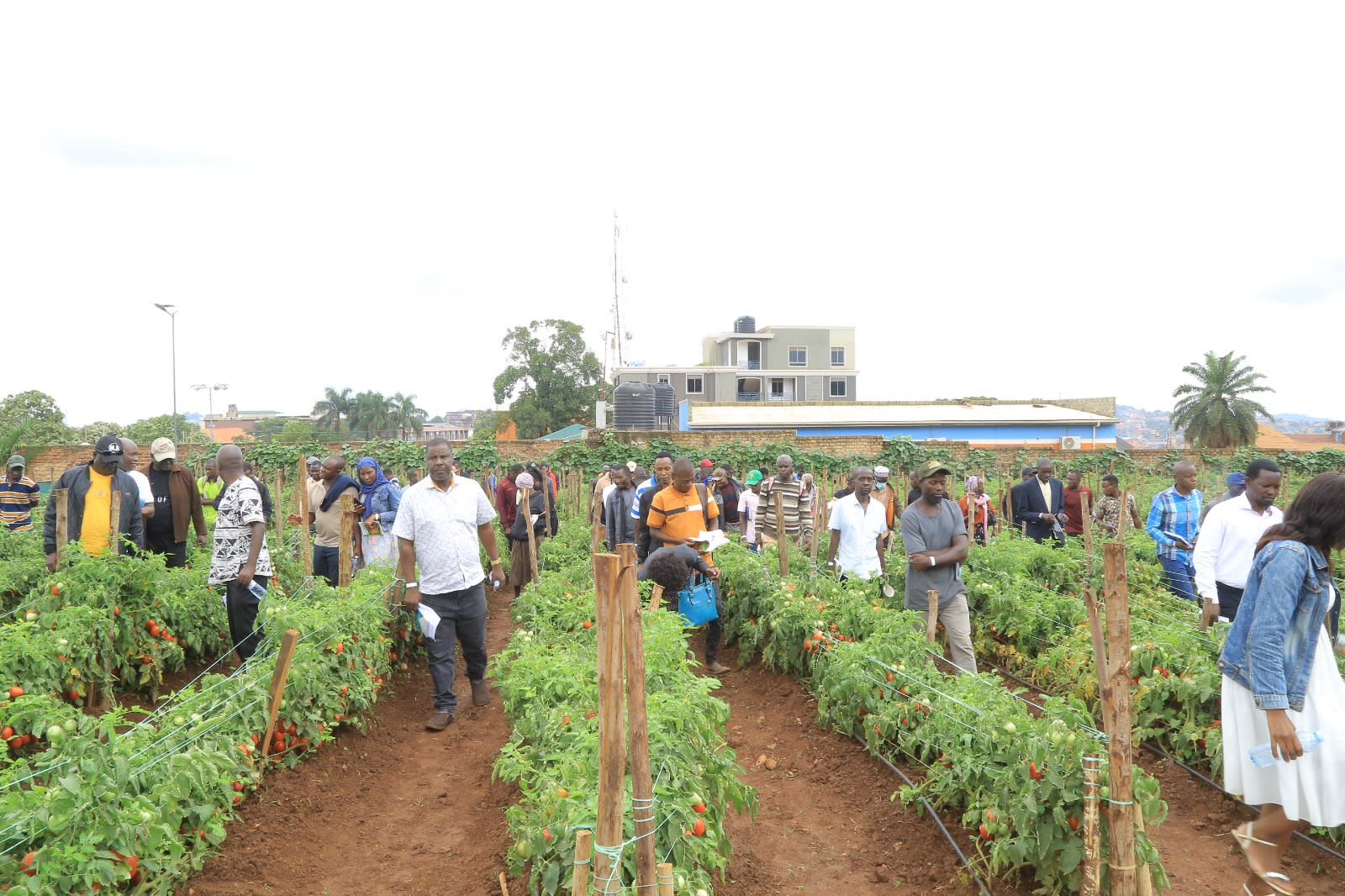 Farmer training session in progress across Uganda