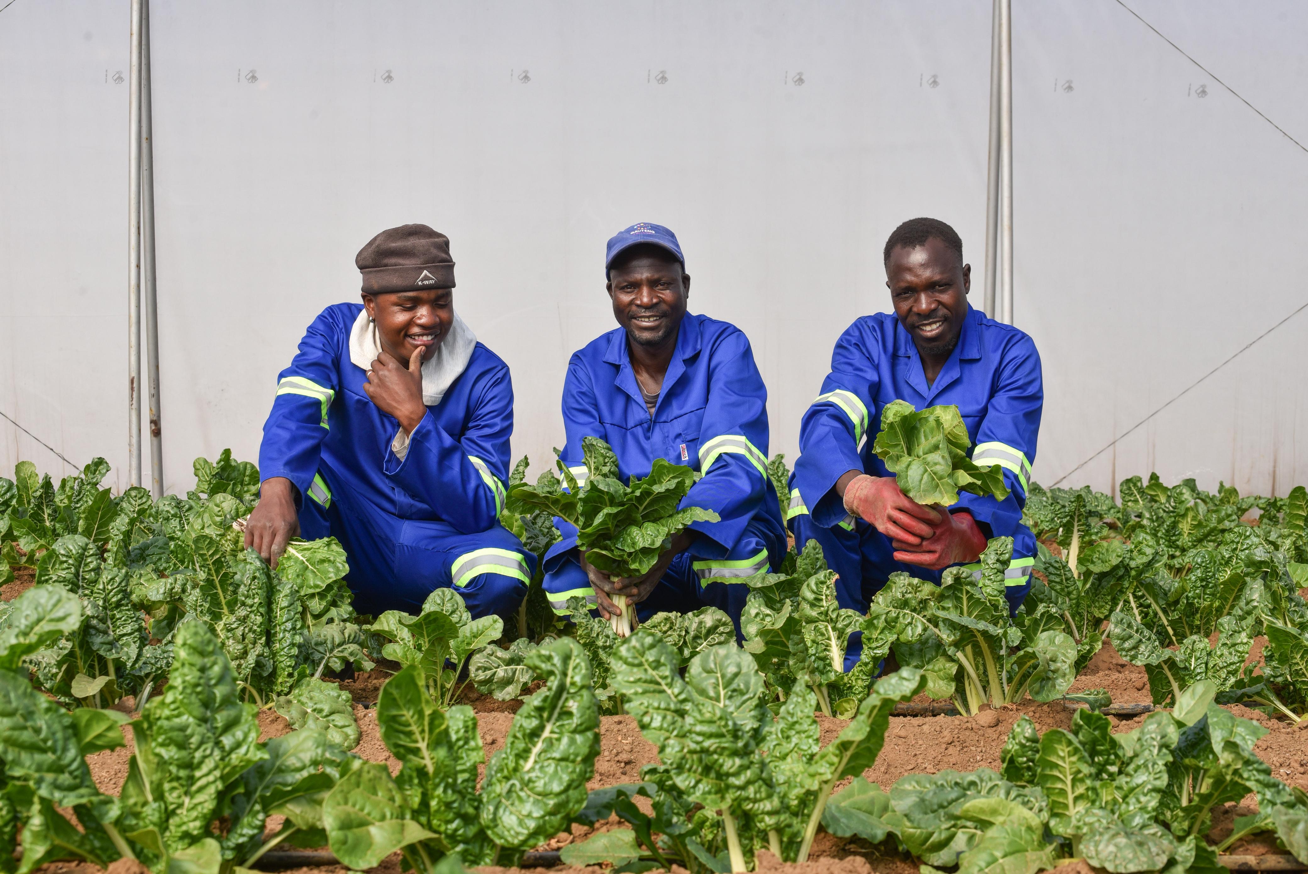 Home Page AgriGuru