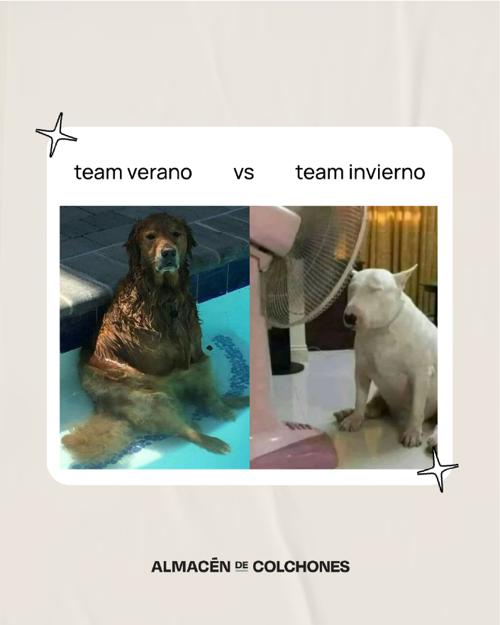 post- meme