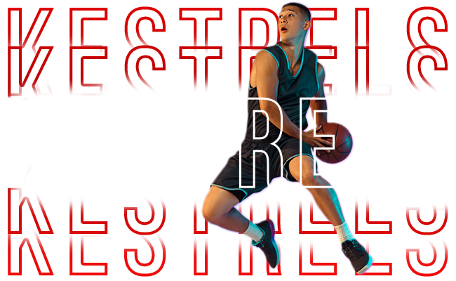 Kestrels Graphic