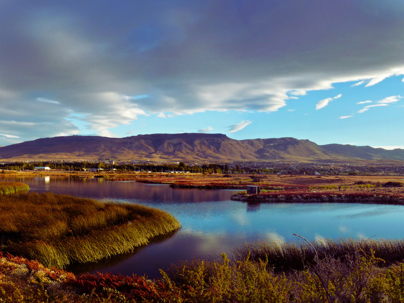 Laguna Nimez Reserve