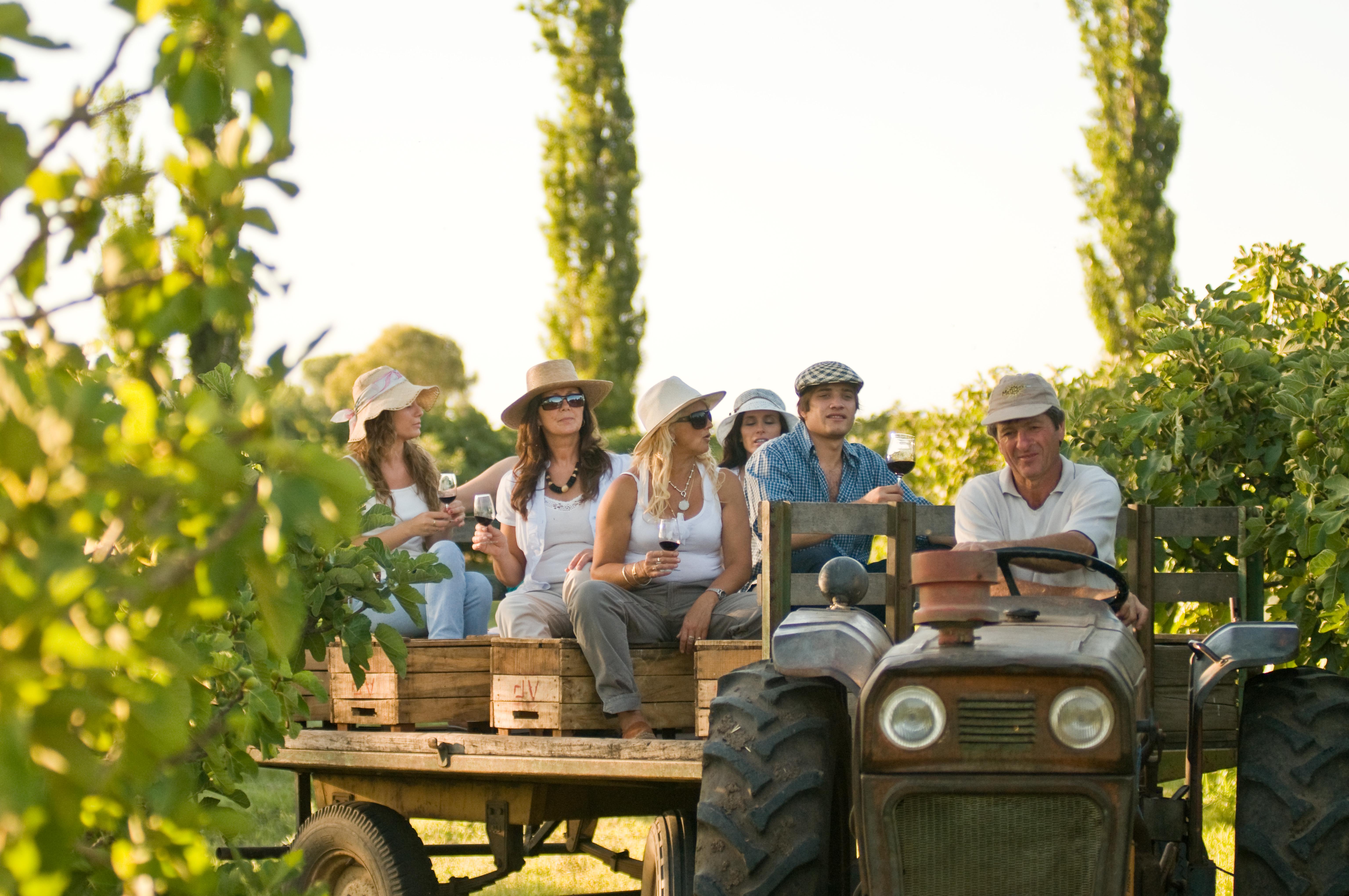 Group experiencing a wine tasting in Mendoza