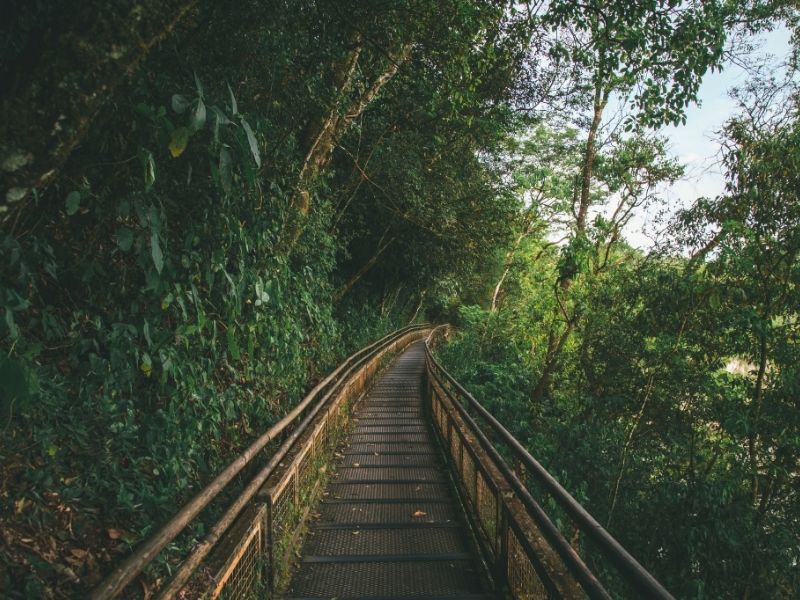 Iguazu National Park Trails