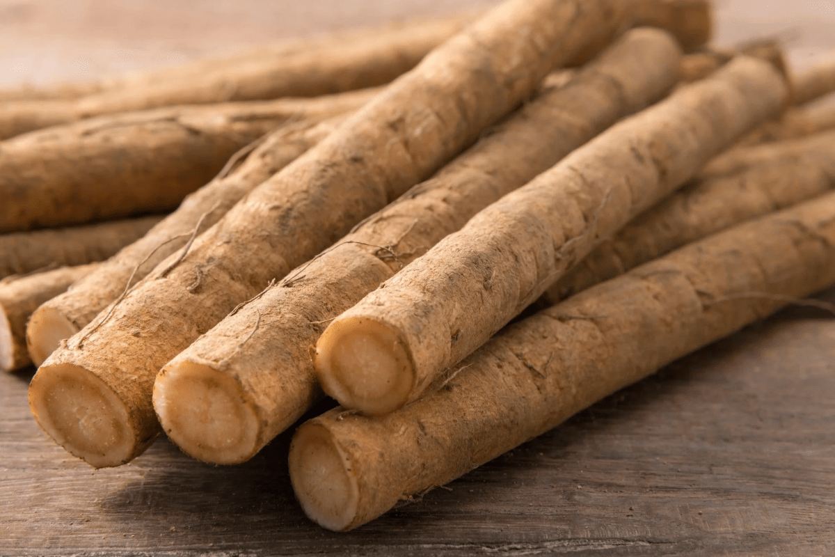 Burdock