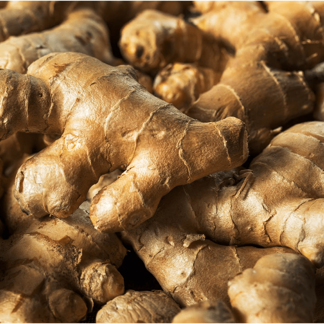 Ginger