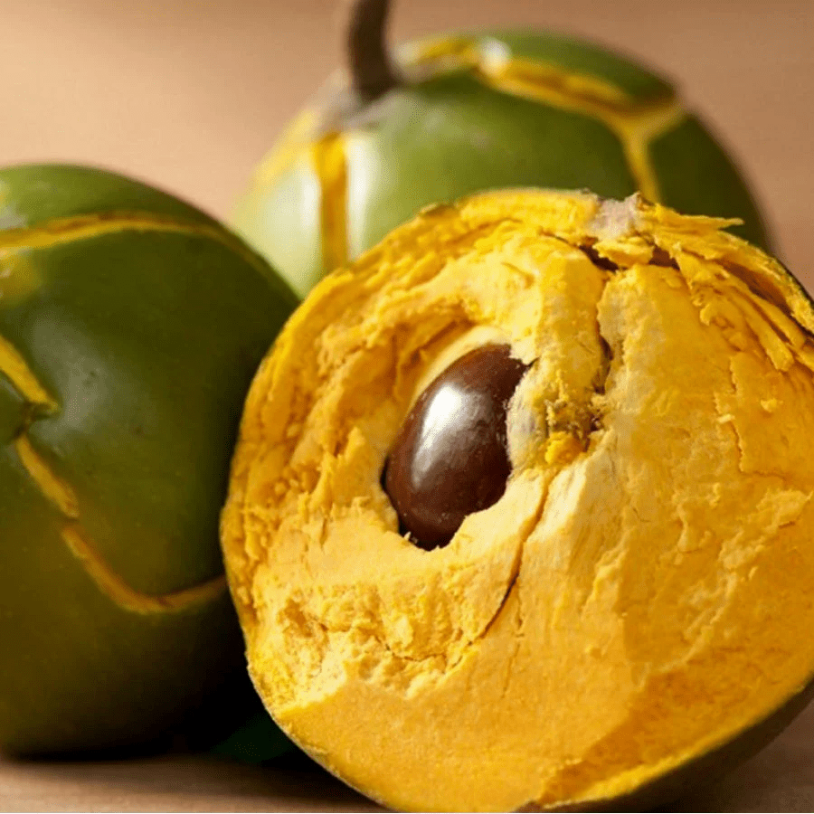 Lucuma