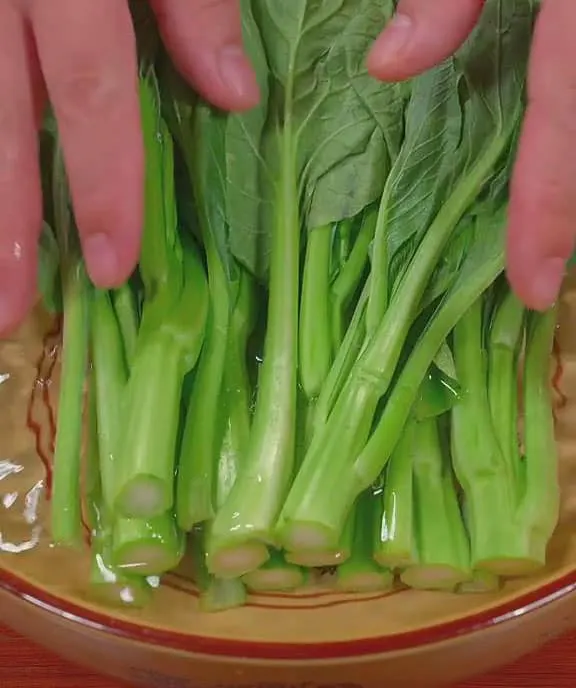 Yu Choy Sum