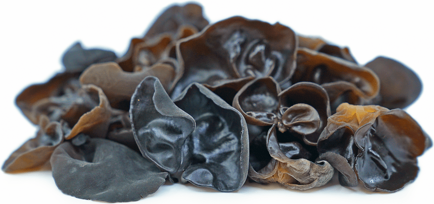 Wood Ear