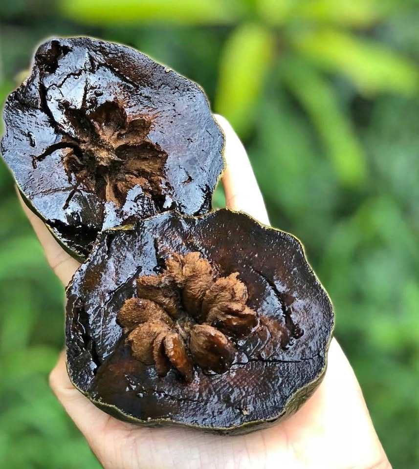 Black Sapote