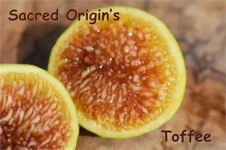 Sacred Origin's Toffee