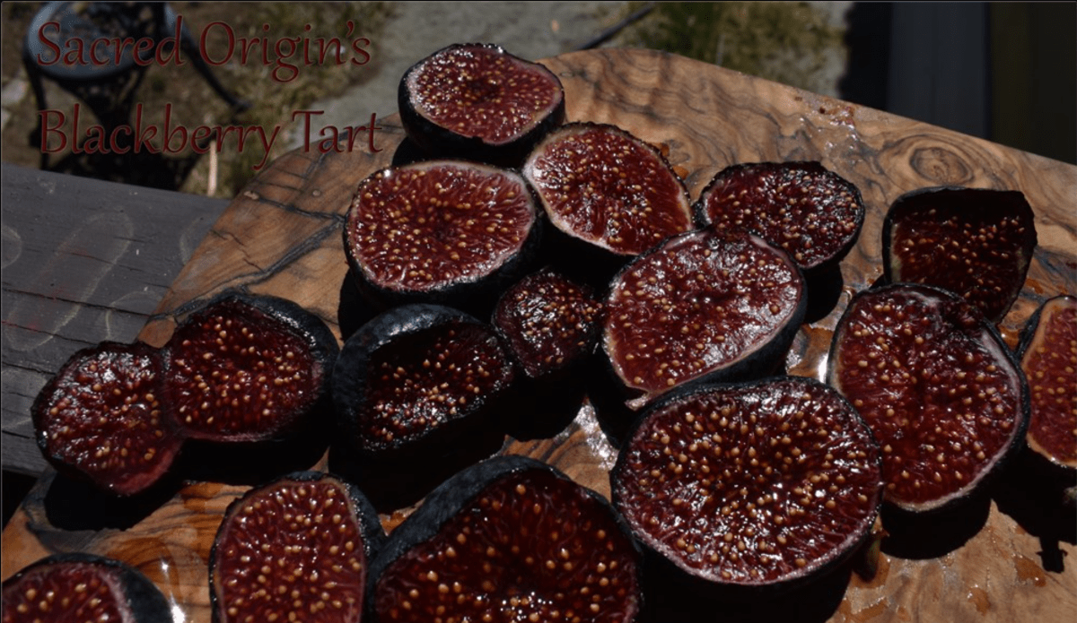 Sacred Origin's Blackberry Tart