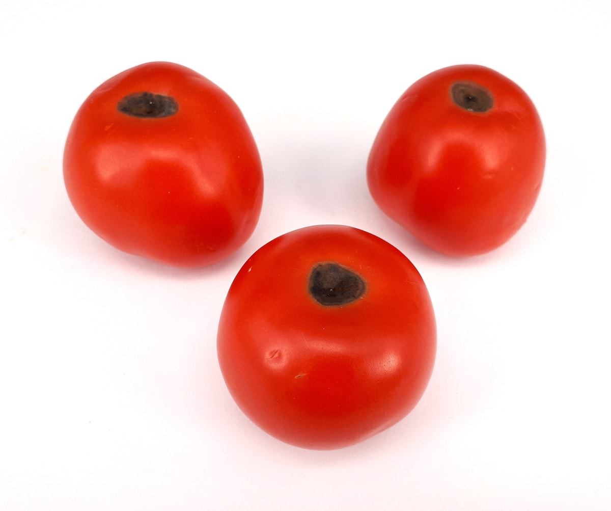 3 x Blossom end rot tomato 2017 A