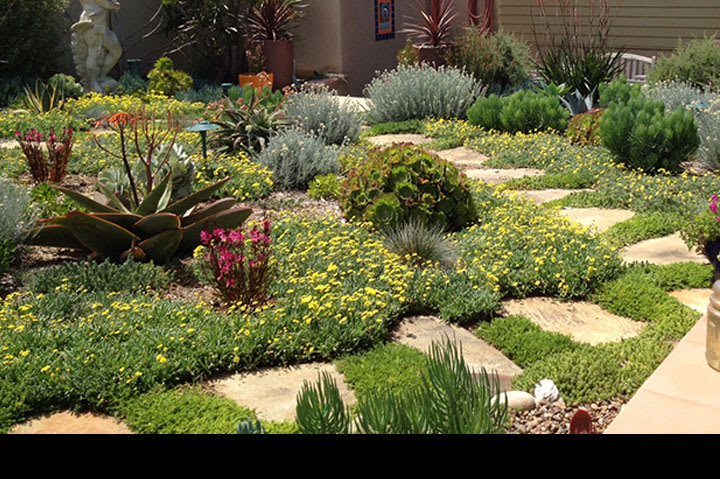 WS-outdoor-west-gallery-46