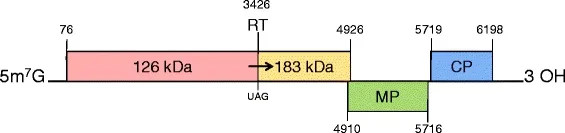 12985 2016 676 Fig1 HTML