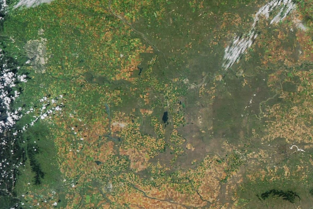 Hail Scars Alberta Farmland (154724 - amo 20250819 lrg)