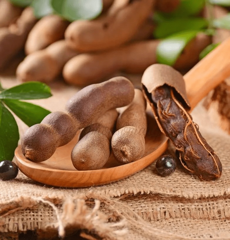 Tamarind (Tamarindus Indica)