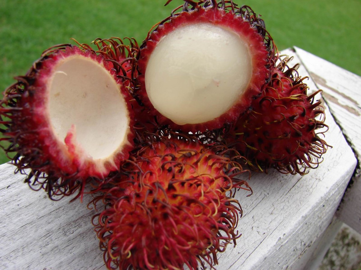 Rambutan (Nephelium Lappaceum)