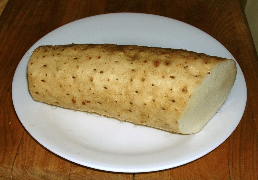 Chinese Yam (Dioscorea Polystachya)