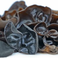 Wood Ear (Auricularia Angiospermarum)