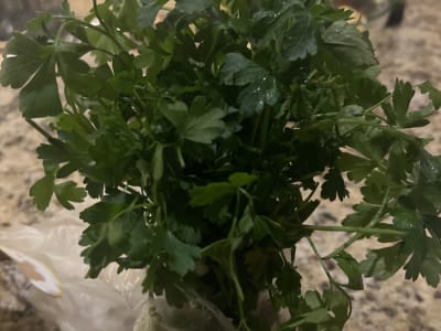 parsley