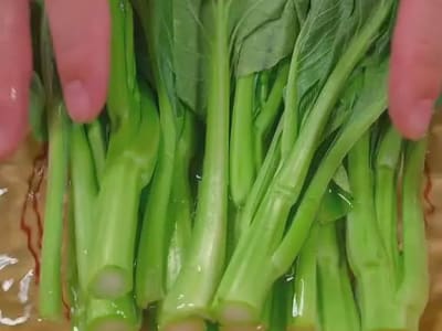 Yu Choy Sum