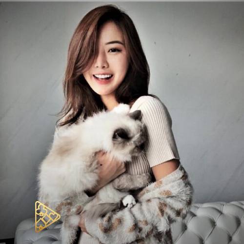 Replay88 : Link Resmi Informasi Akurat Slot Mudah JP Malam Ini