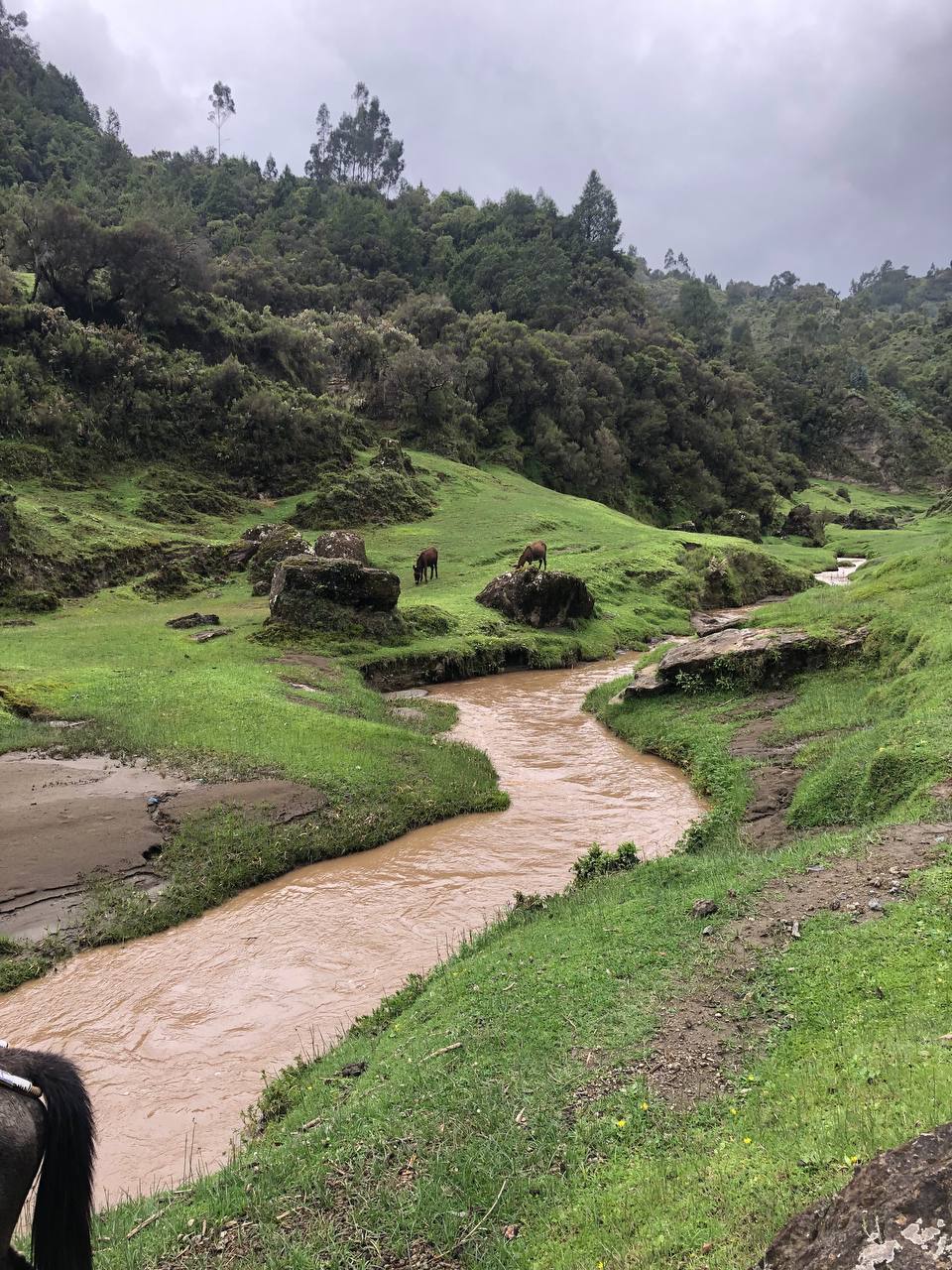 ecotravel/Wenchi Lake/photo_8_2023-05-20_22-42-55_r7l8mf