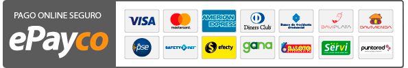 promdelmes 21 epayco pago seguro gray
