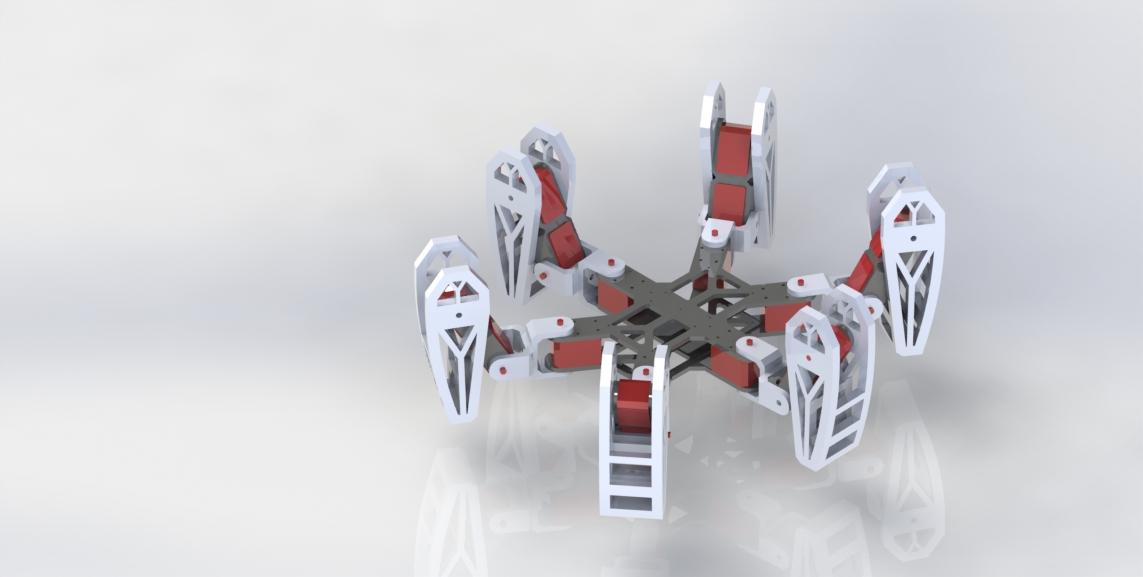HEXAPOD project