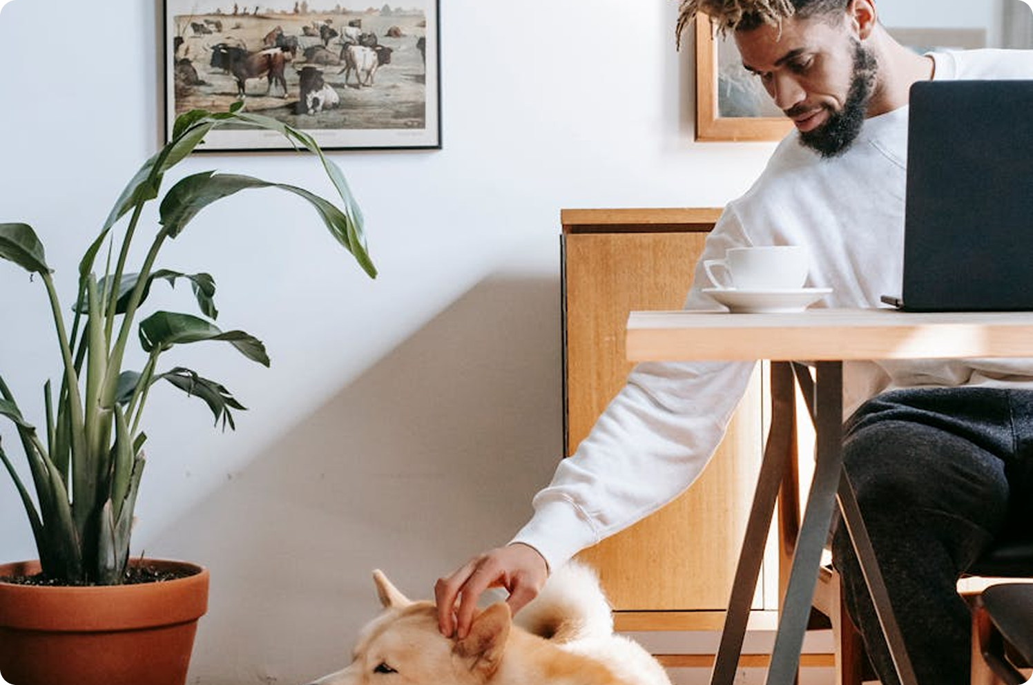 Autumn money mortgages