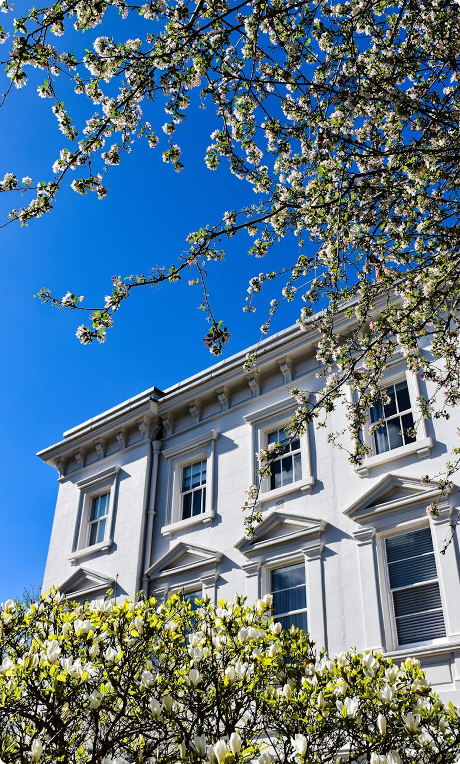 Victorian terrace house with spring blossoms against blue sky
