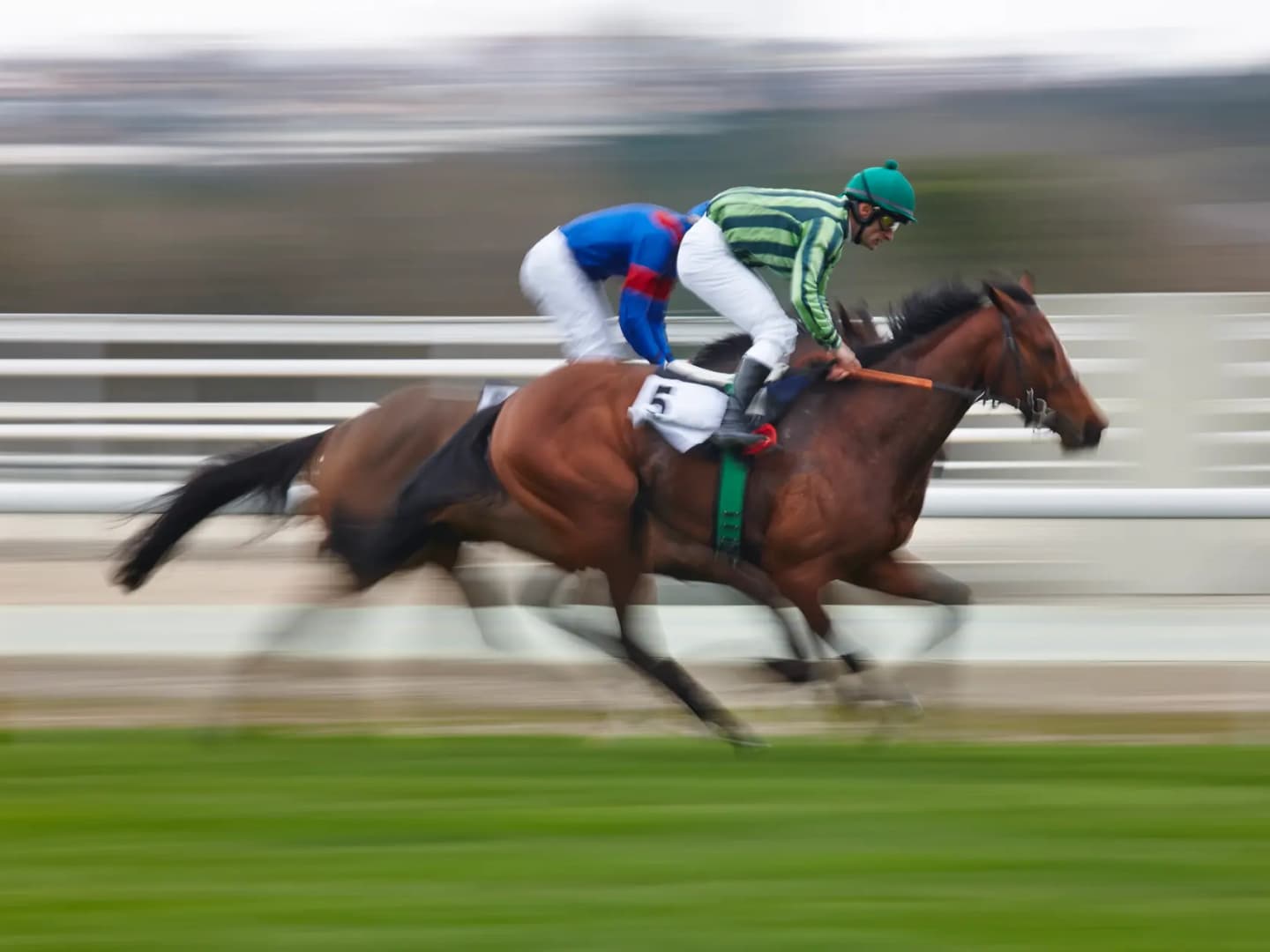 Del Mar - serving the San Diego North County community